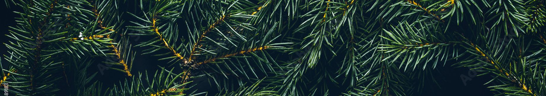 Carte Cadeaux - Lecyclo