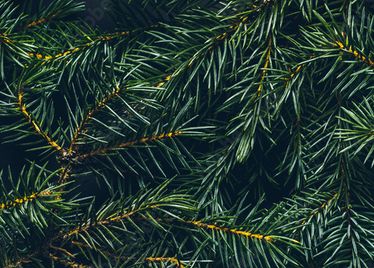 Carte Cadeaux - Lecyclo