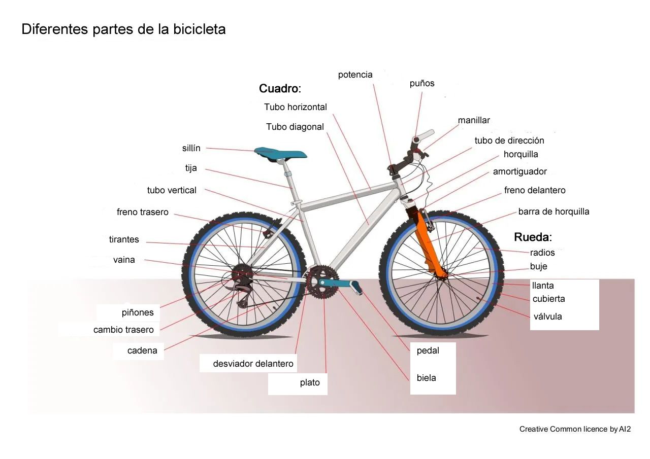 Diagrama que muestra las diferentes partes de una bicicleta.