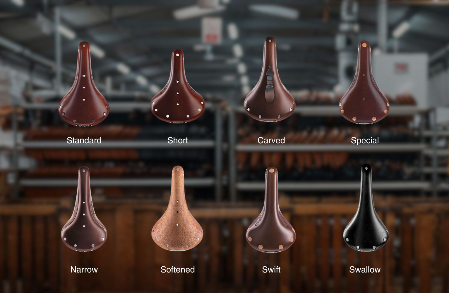 Tous les modèles de la gamme B17 Brooks