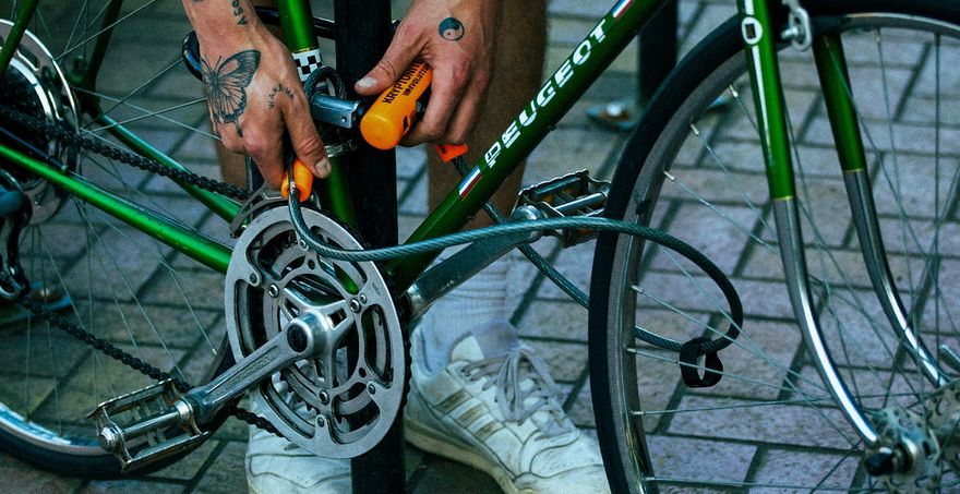 Double antivols Kryptonite Evolution