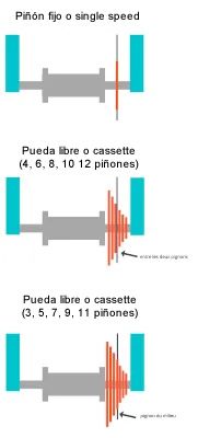 Línea de cadena trasera