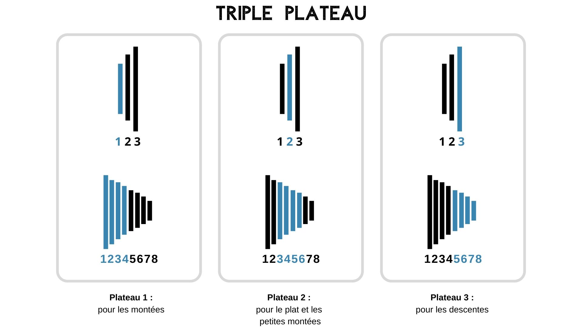 Plateau pignon 2024 vélo