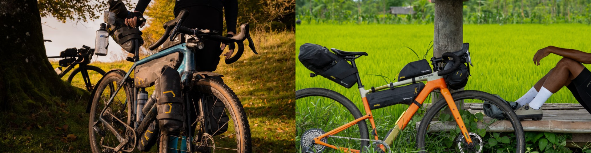 Nouveautés Apidura