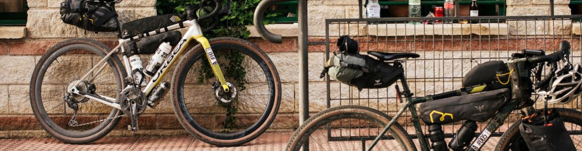 Apidura