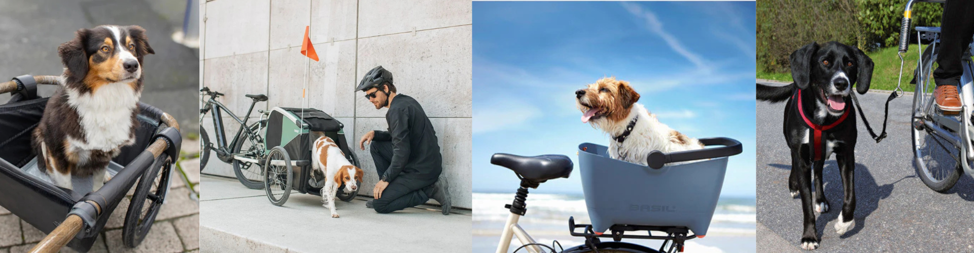 À vélo avec vos animaux