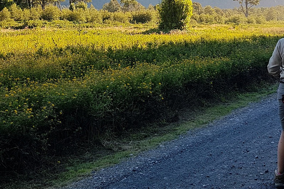 velo pour cyclotourisme