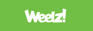 logo weelz