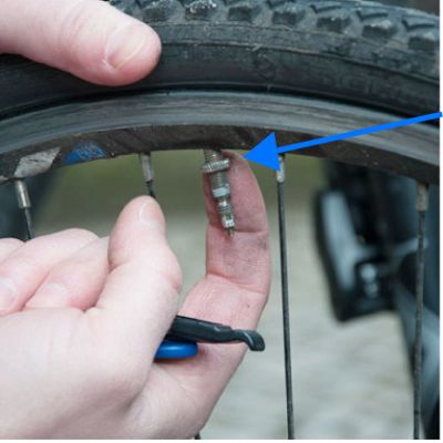 Adaptateurs d'extension de valve de pneu de 6 pièces pour voiture de moto  de vélo