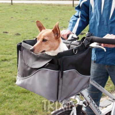 equiper guidon d'un panier pour chien