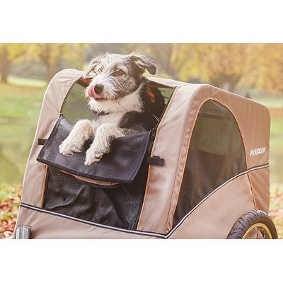 chien dans remorque velo