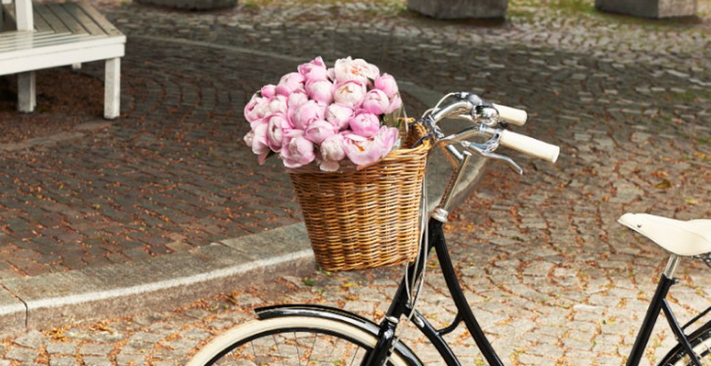 panier sur guidon velo