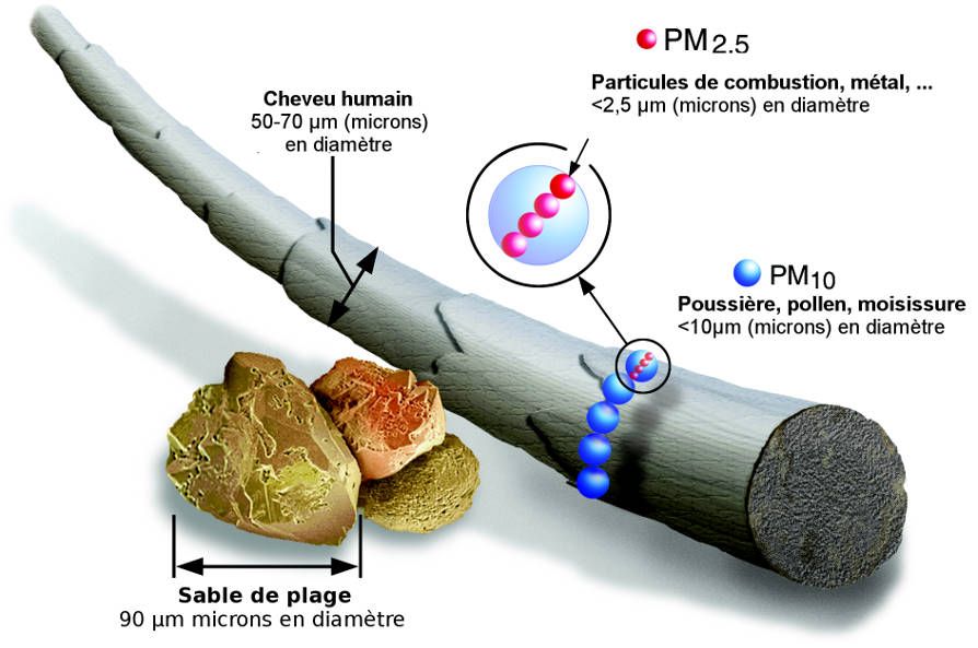 Illustration de la taille des particules en suspension pm 2. et pm10