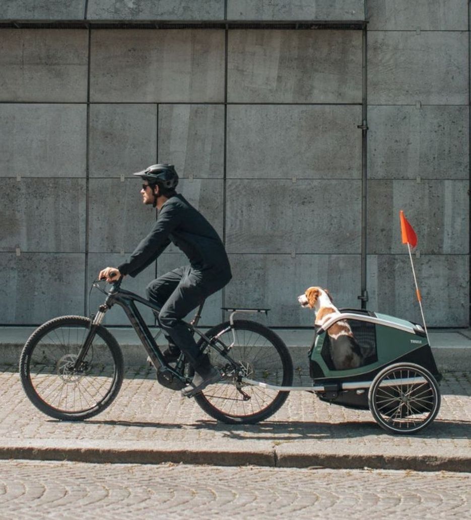 Remorque vélo chien avec cycliste vélo électrique