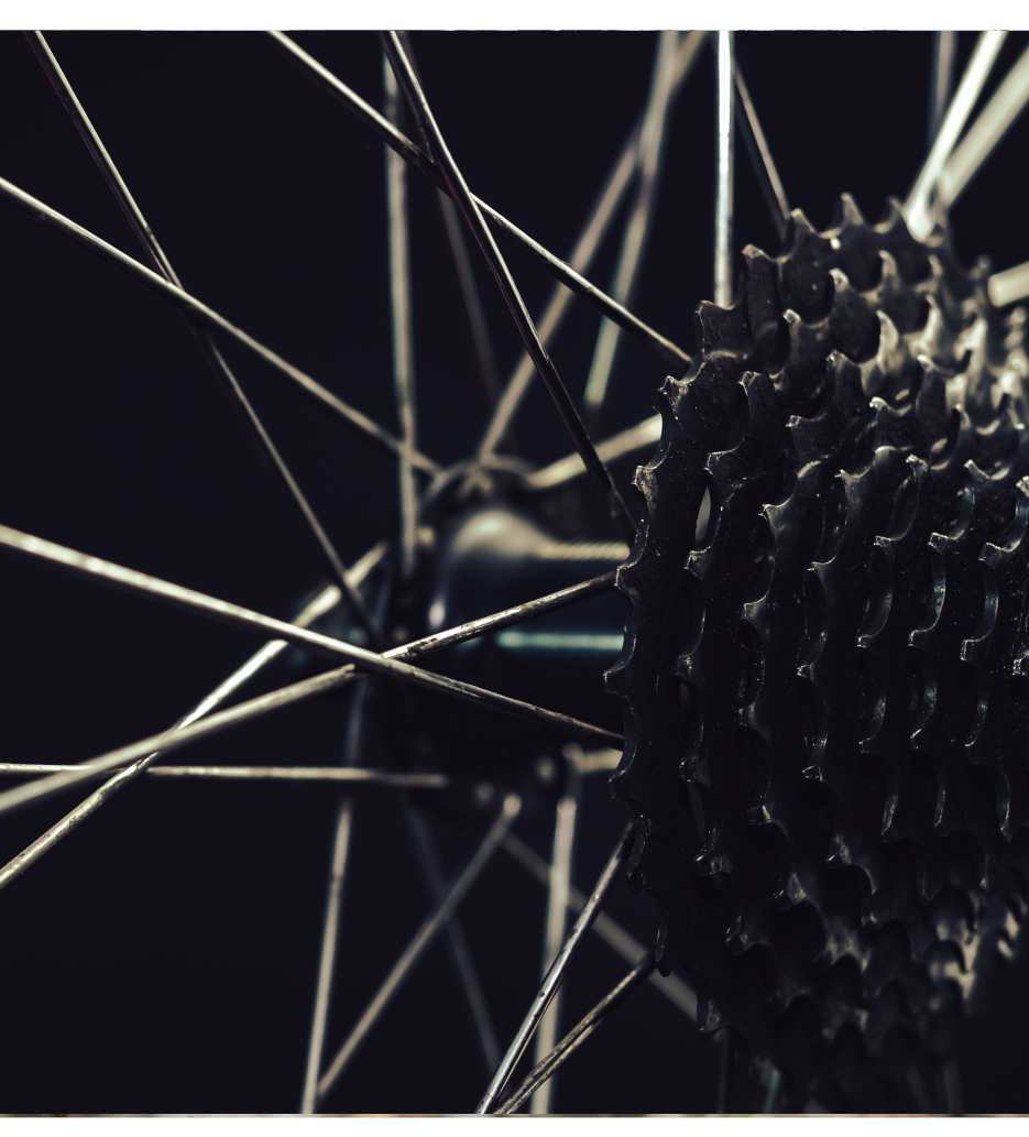 corps de cassettes vélo et rayons rous